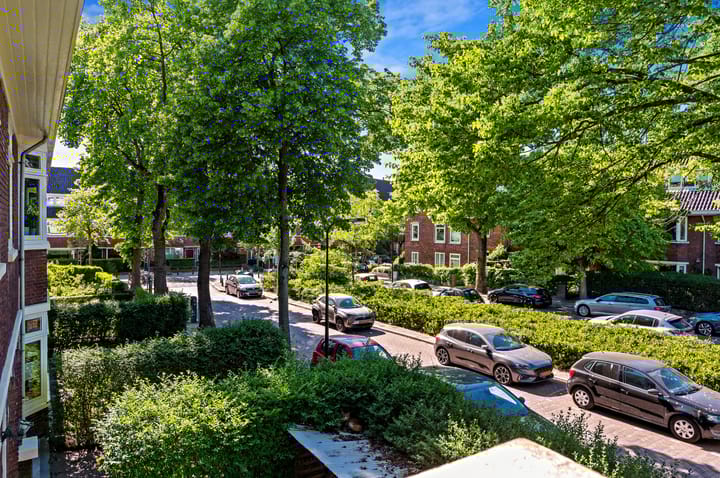 Foto 10 van Larikslaan 3