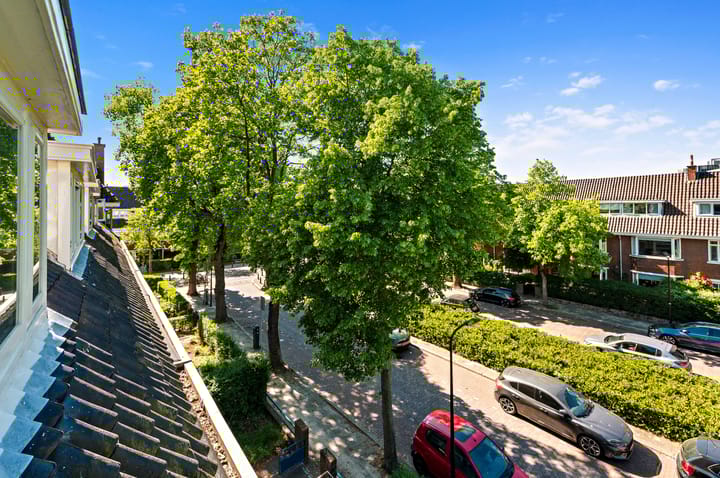 Foto 27 van Larikslaan 3