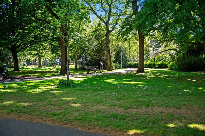 Foto 50 van Larikslaan 3