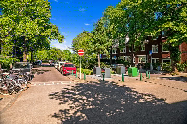 Foto 51 van Larikslaan 3