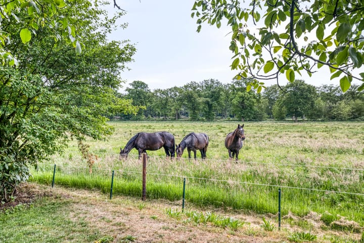 Foto 61 van Westerstraat 49-B