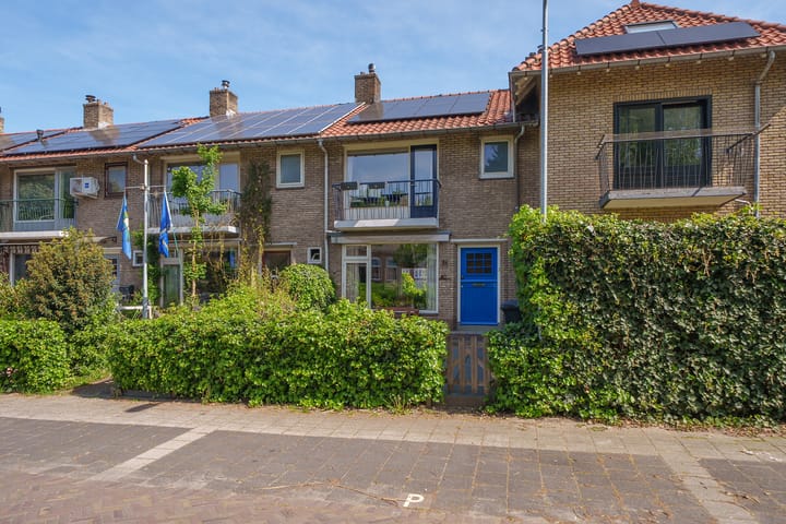 undefined main image