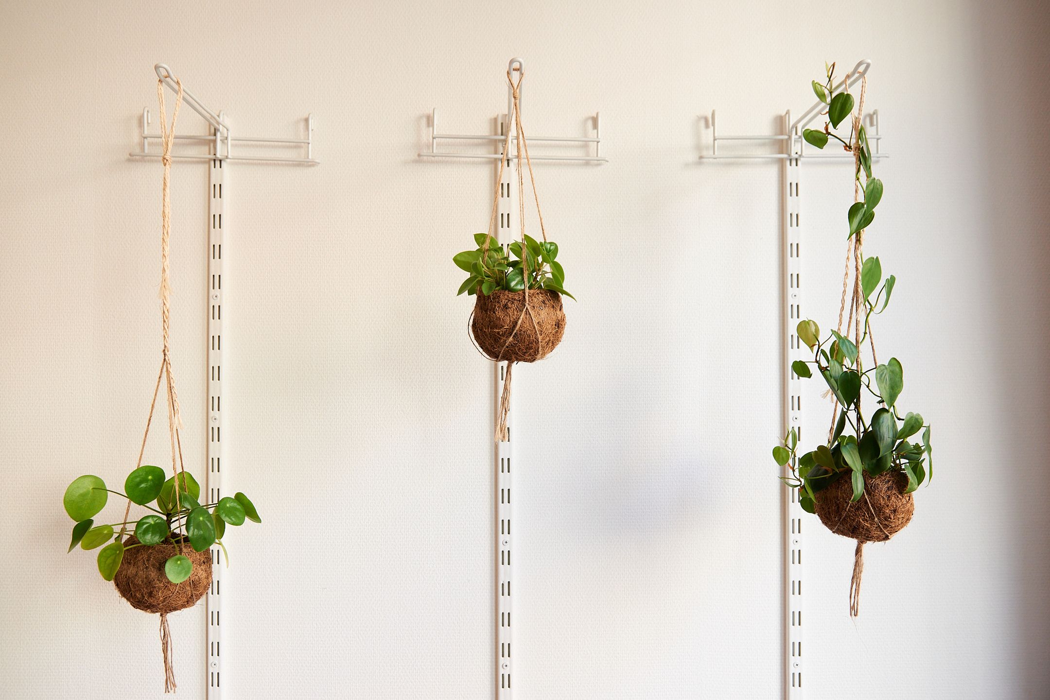 Foto 6 van Van Hogendorpstraat 143-1