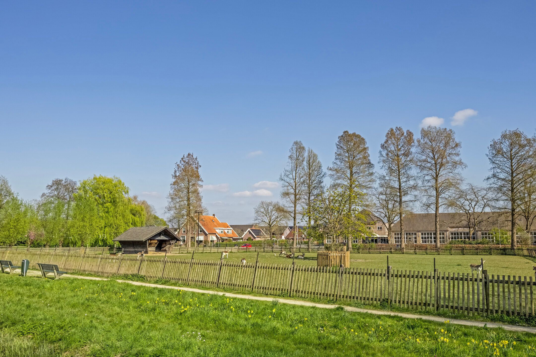 Foto 30 van Pouwekamp 8