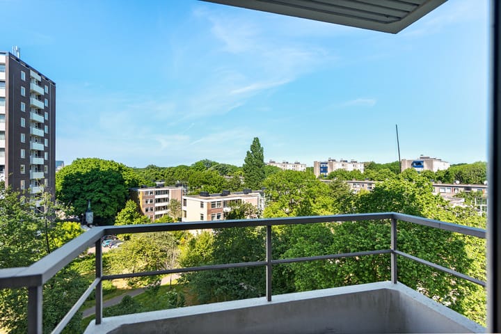 Foto 18 van Roggekamp 347