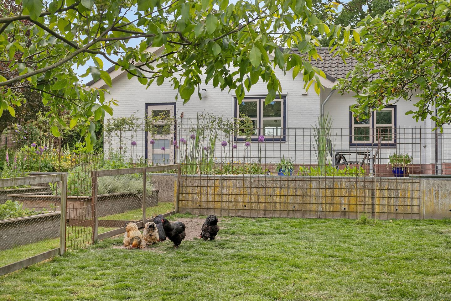 Foto 35 van Dorpsstraat 4