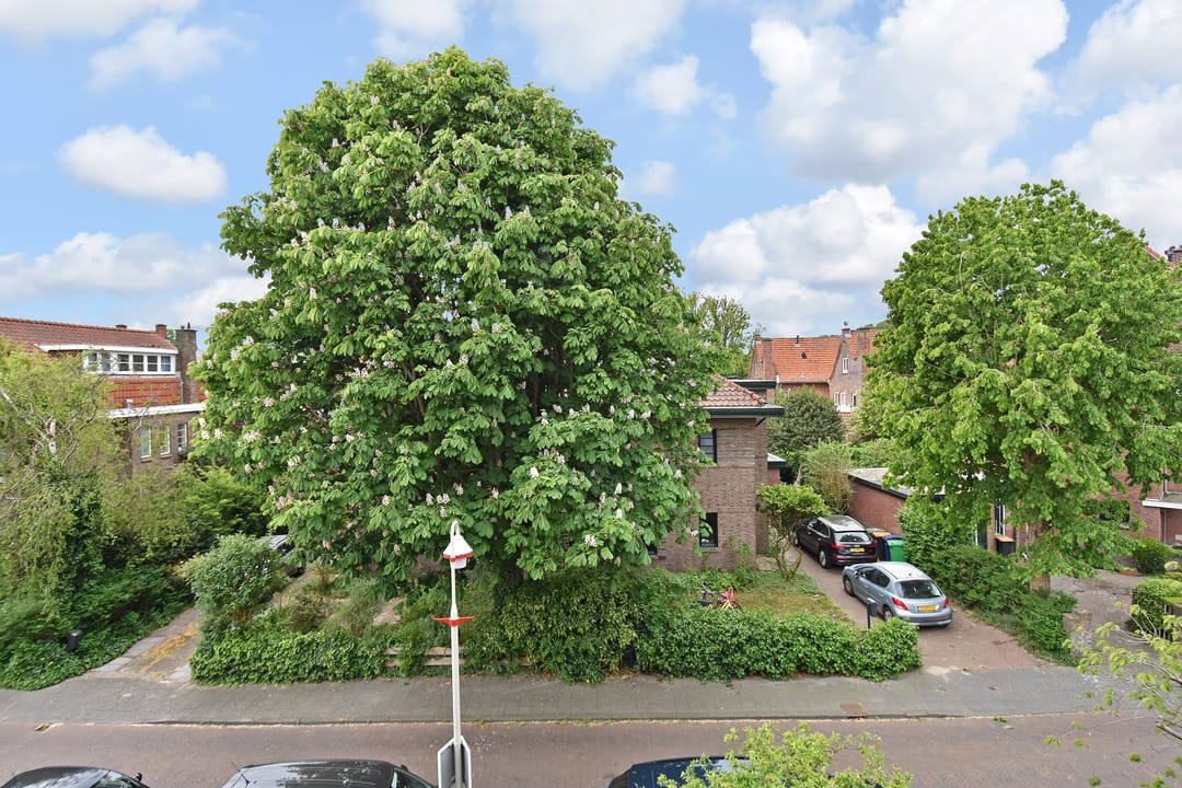 Photo 37 of Ooievaarlaan 29