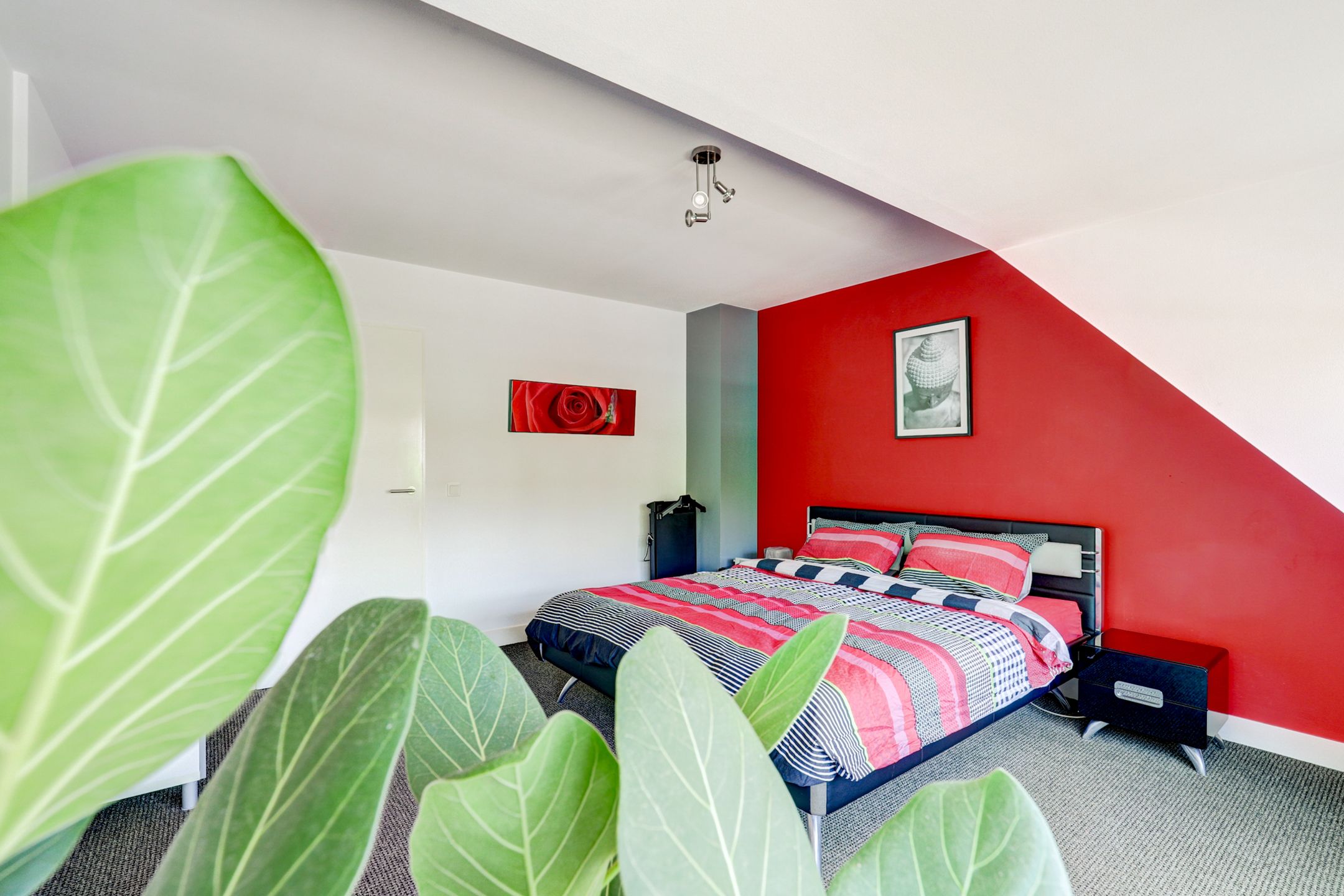 Foto 24 van Wilgenpark 2