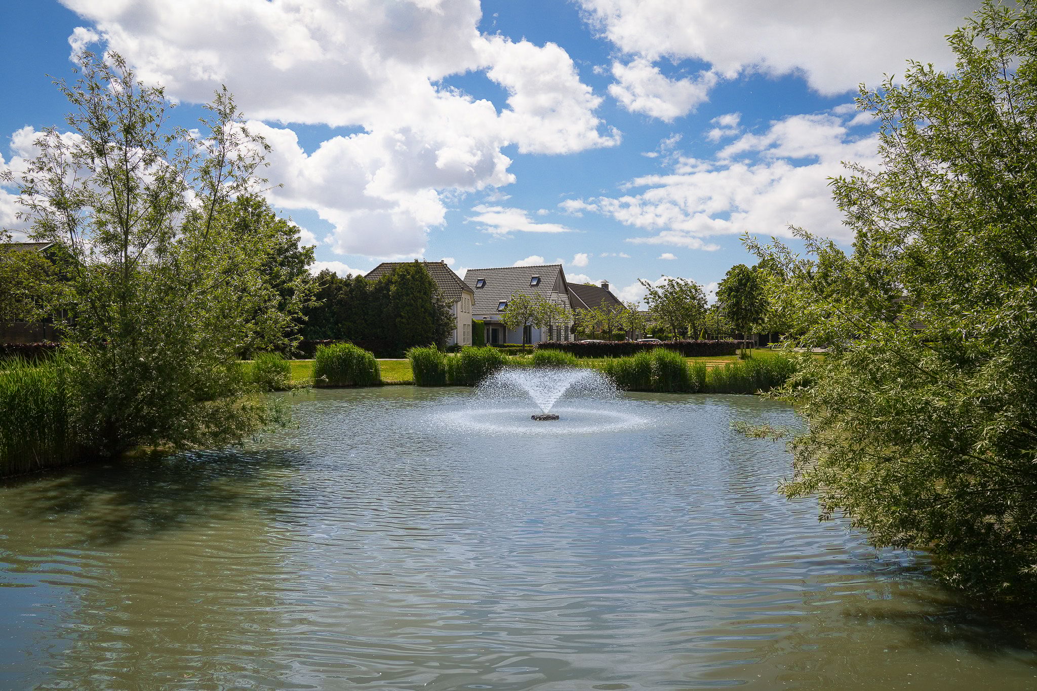 Foto 39 van Anjelierstraat 45