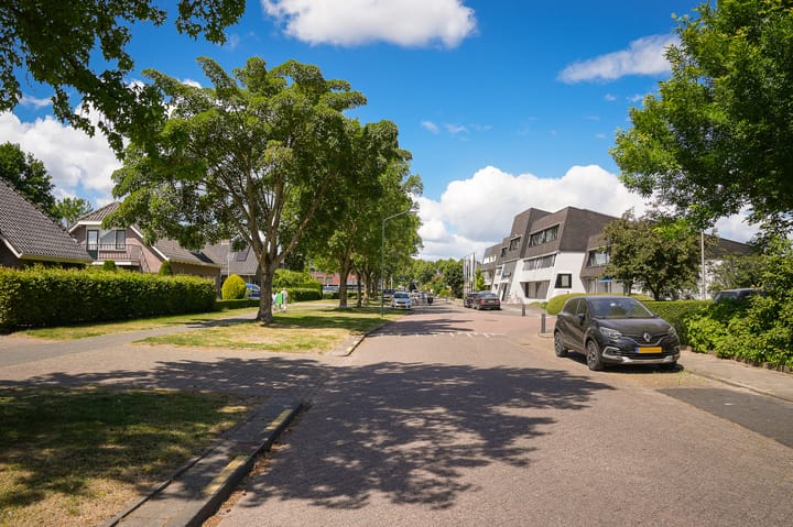 Photo 38 of Anjelierstraat 45