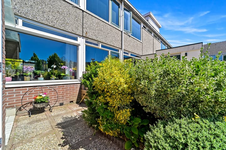 Foto 4 van Schokland 29