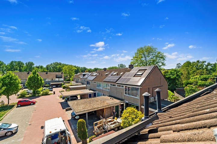 Foto 41 van Schokland 29