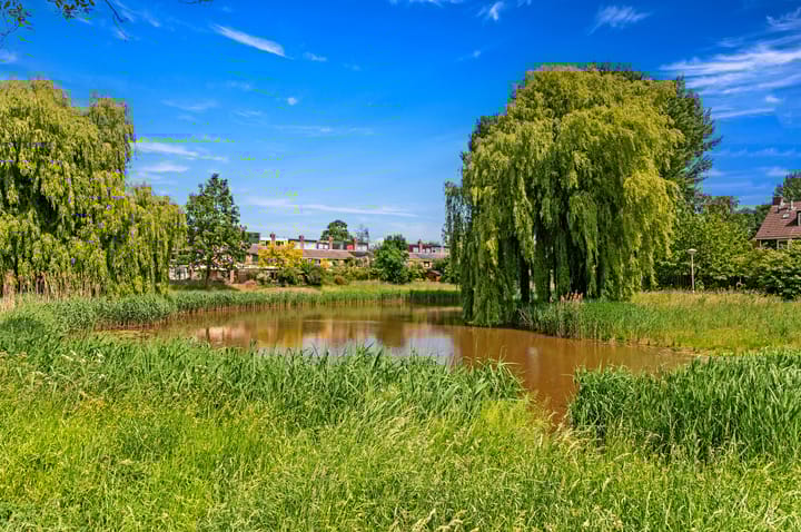 Foto 50 van Schokland 29