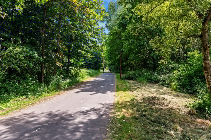 Foto 51 van Schokland 29