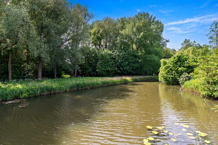 Foto 59 van Schokland 29