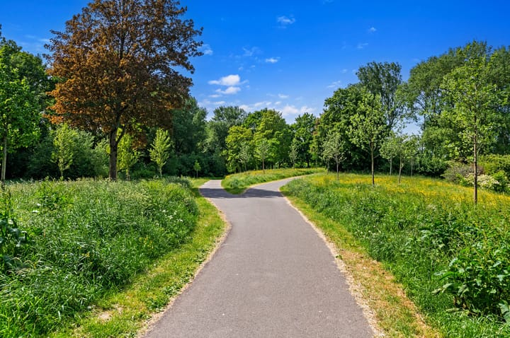 Foto 61 van Schokland 29