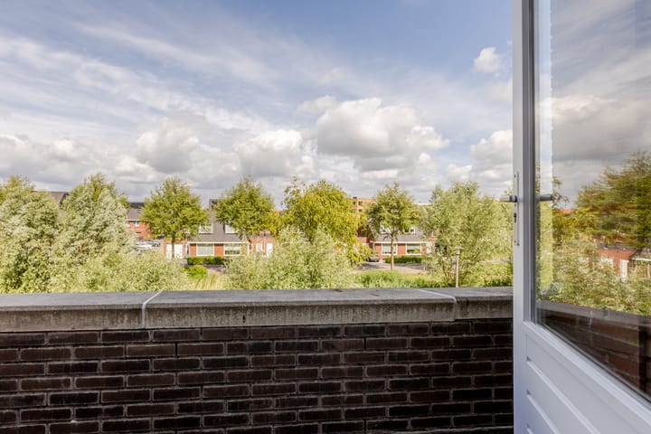 Foto 48 van Vrouwenmantel 45