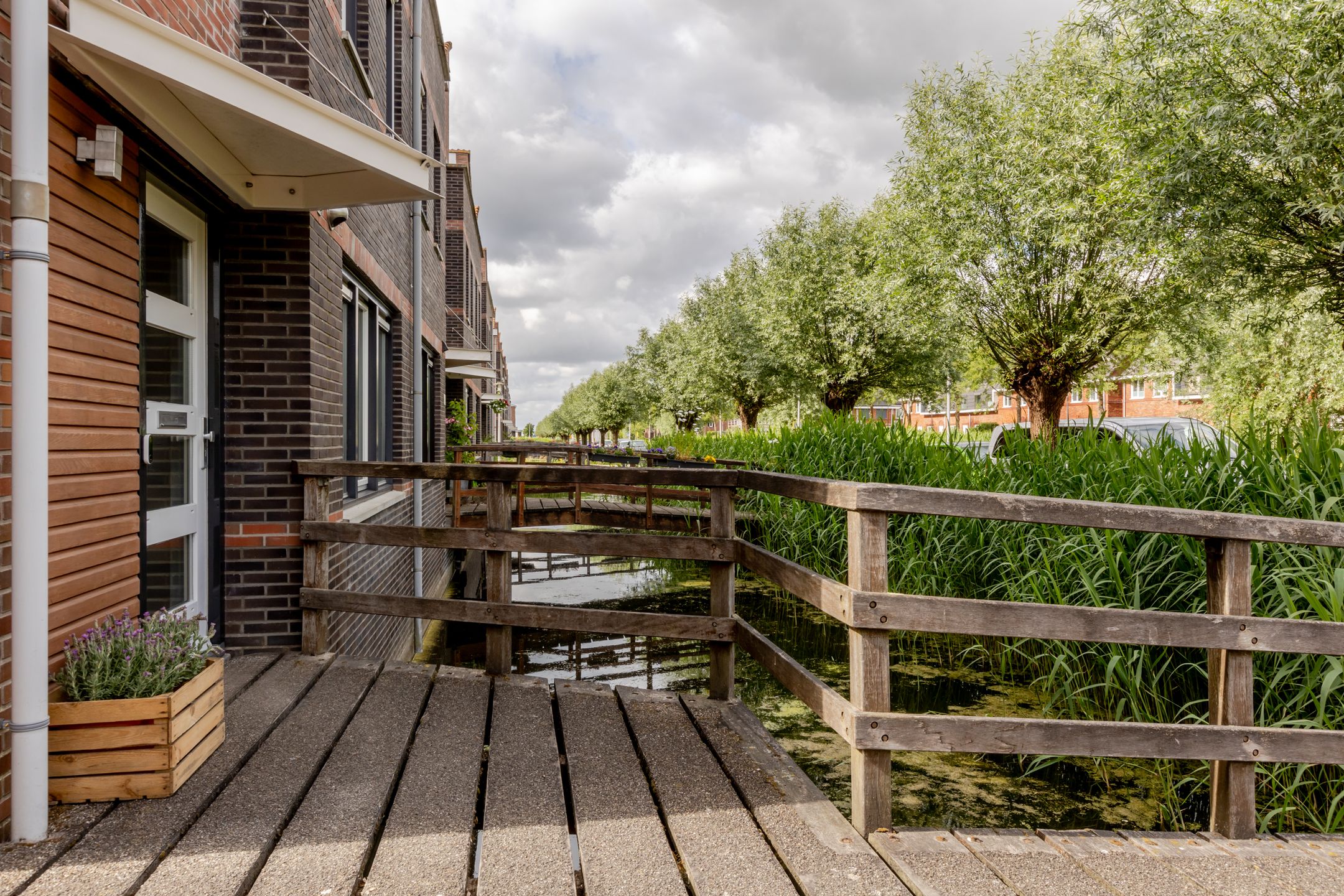 Foto 60 van Vrouwenmantel 45