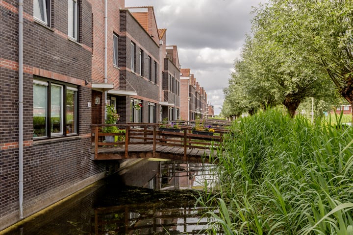 Foto 61 van Vrouwenmantel 45