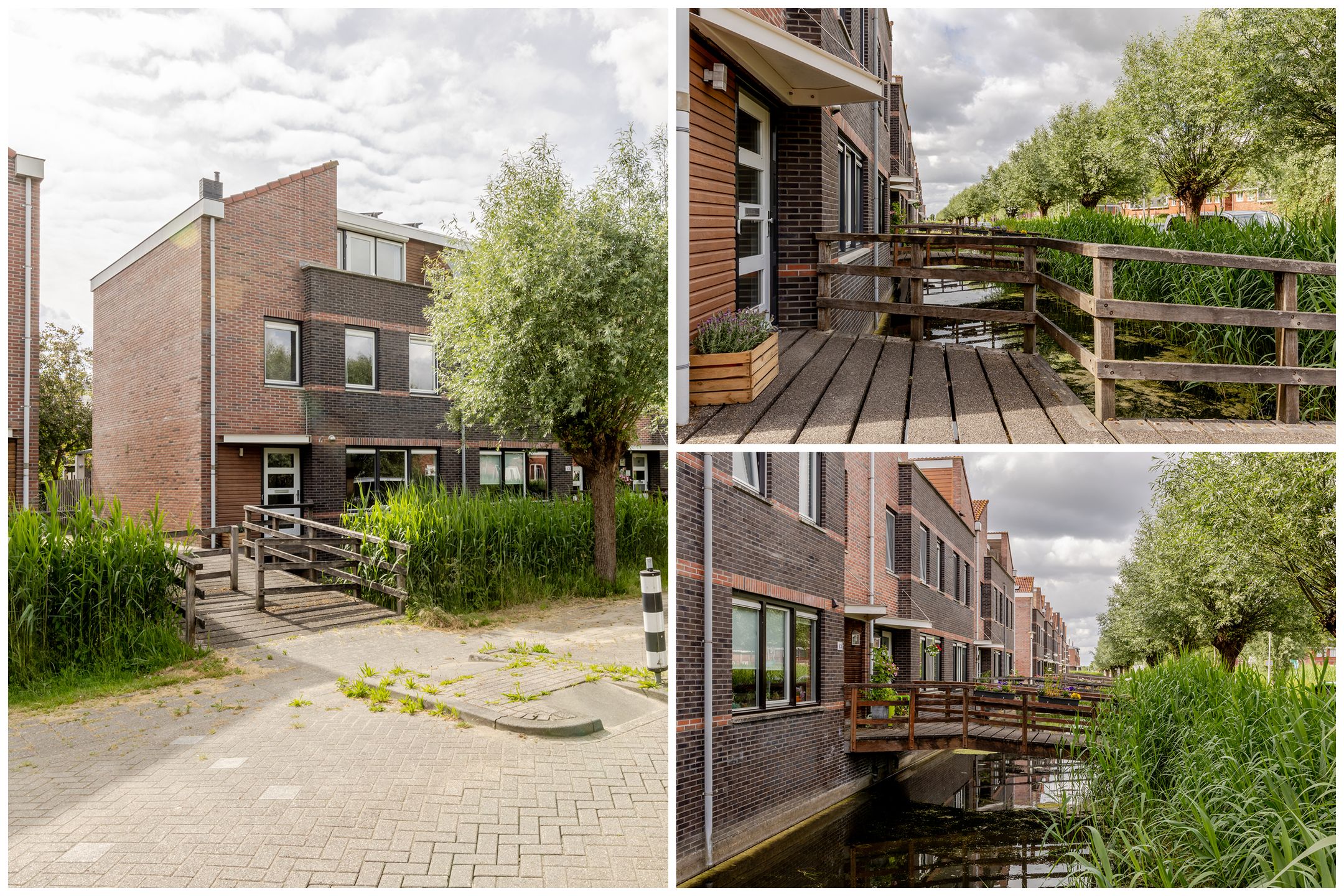 Foto 69 van Vrouwenmantel 45