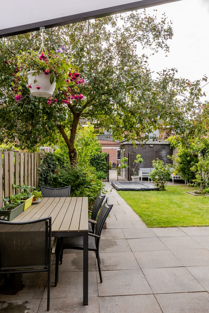 Foto 85 van Vrouwenmantel 45