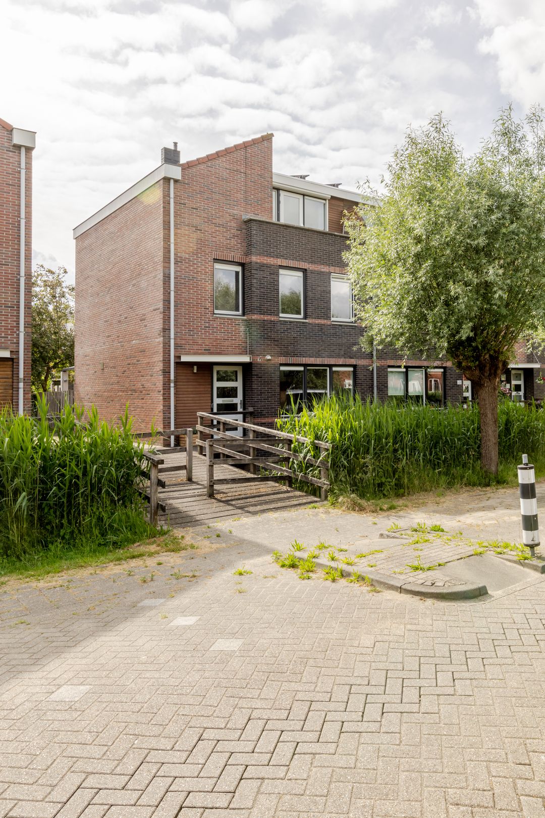 Foto 86 van Vrouwenmantel 45