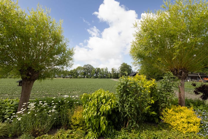 Foto 35 van Eilânswei 23