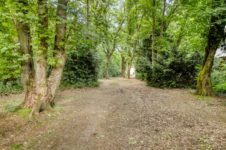 Foto 3 van Helenadal 8