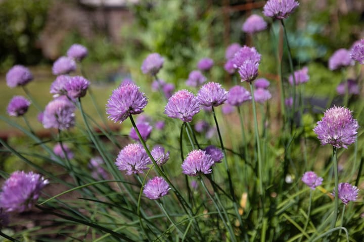 Foto 29 van Ranselberg 11