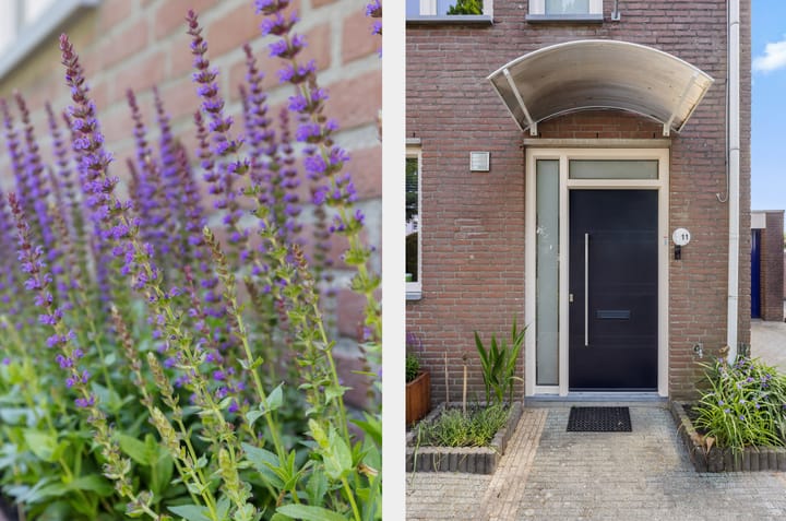 Foto 51 van Ranselberg 11