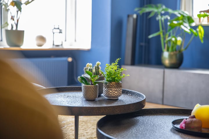 Foto 23 van Nicolaas Beetsstraat 75