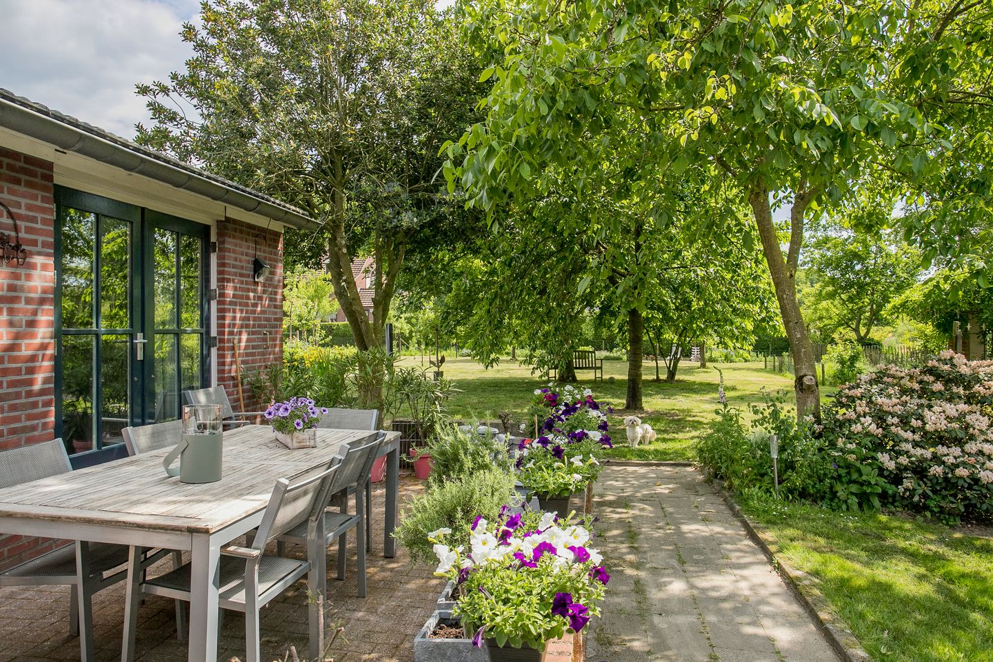 Foto 5 van Schandelo 114