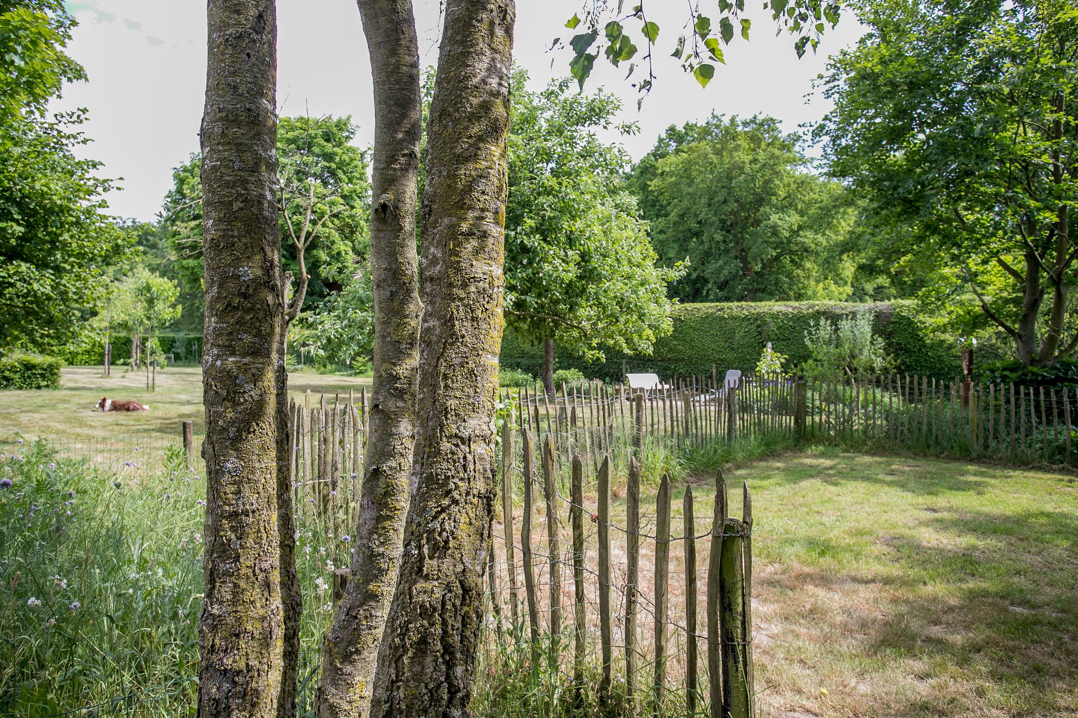 Foto 51 van Schandelo 114