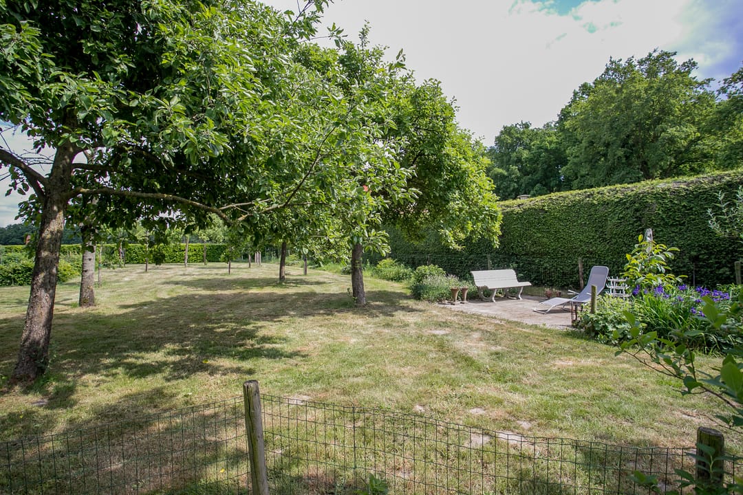 Foto 52 van Schandelo 114