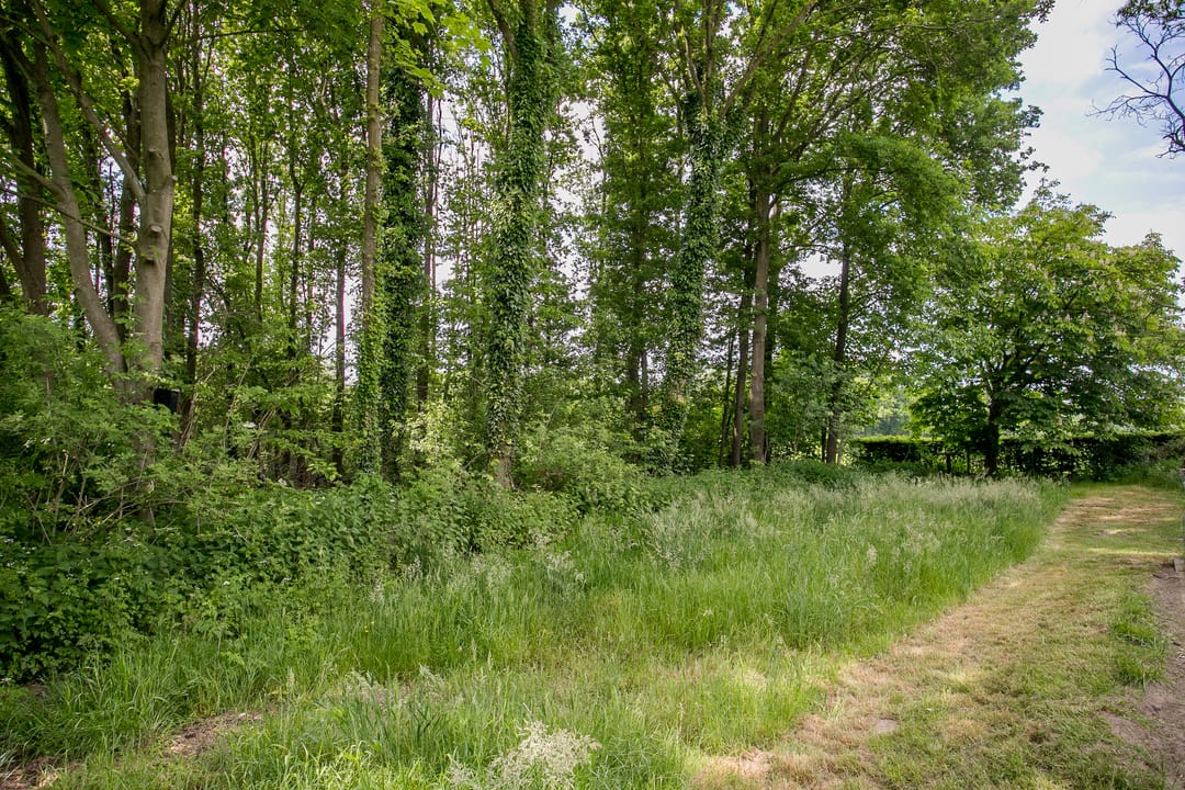 Foto 53 van Schandelo 114