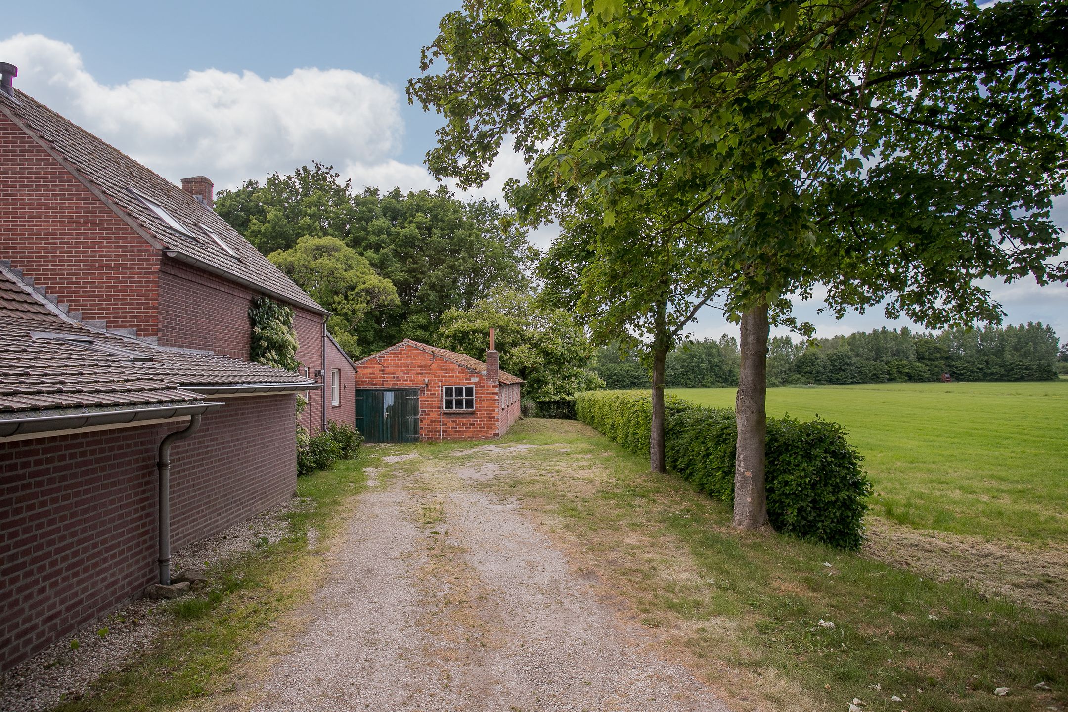 Foto 57 van Schandelo 114