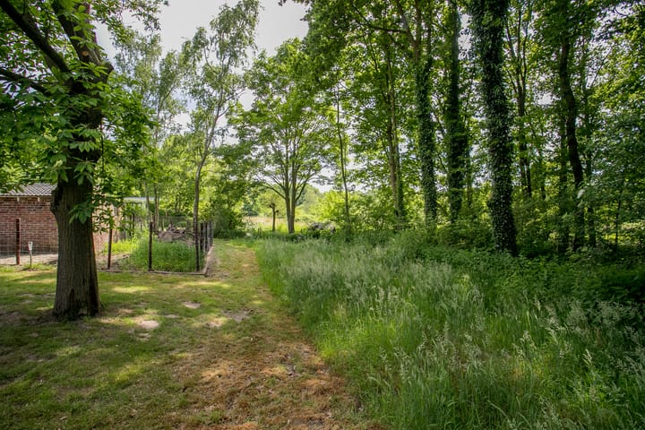 Foto 58 van Schandelo 114