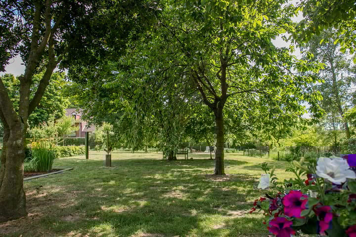 Foto 59 van Schandelo 114