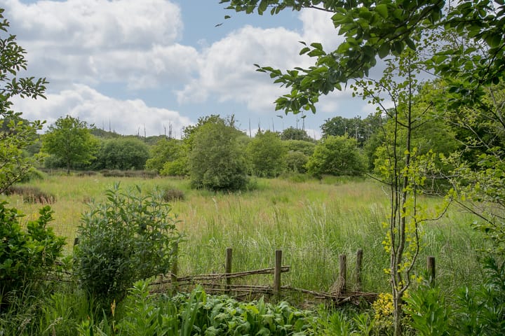 Foto 68 van Schandelo 114