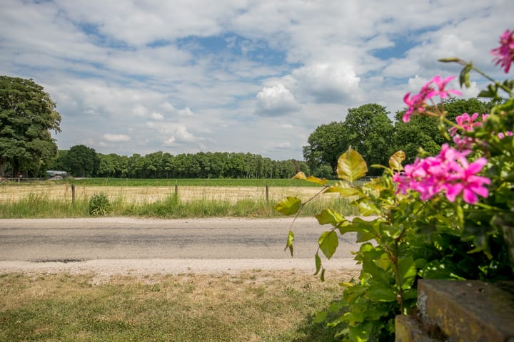 Foto 72 van Schandelo 114