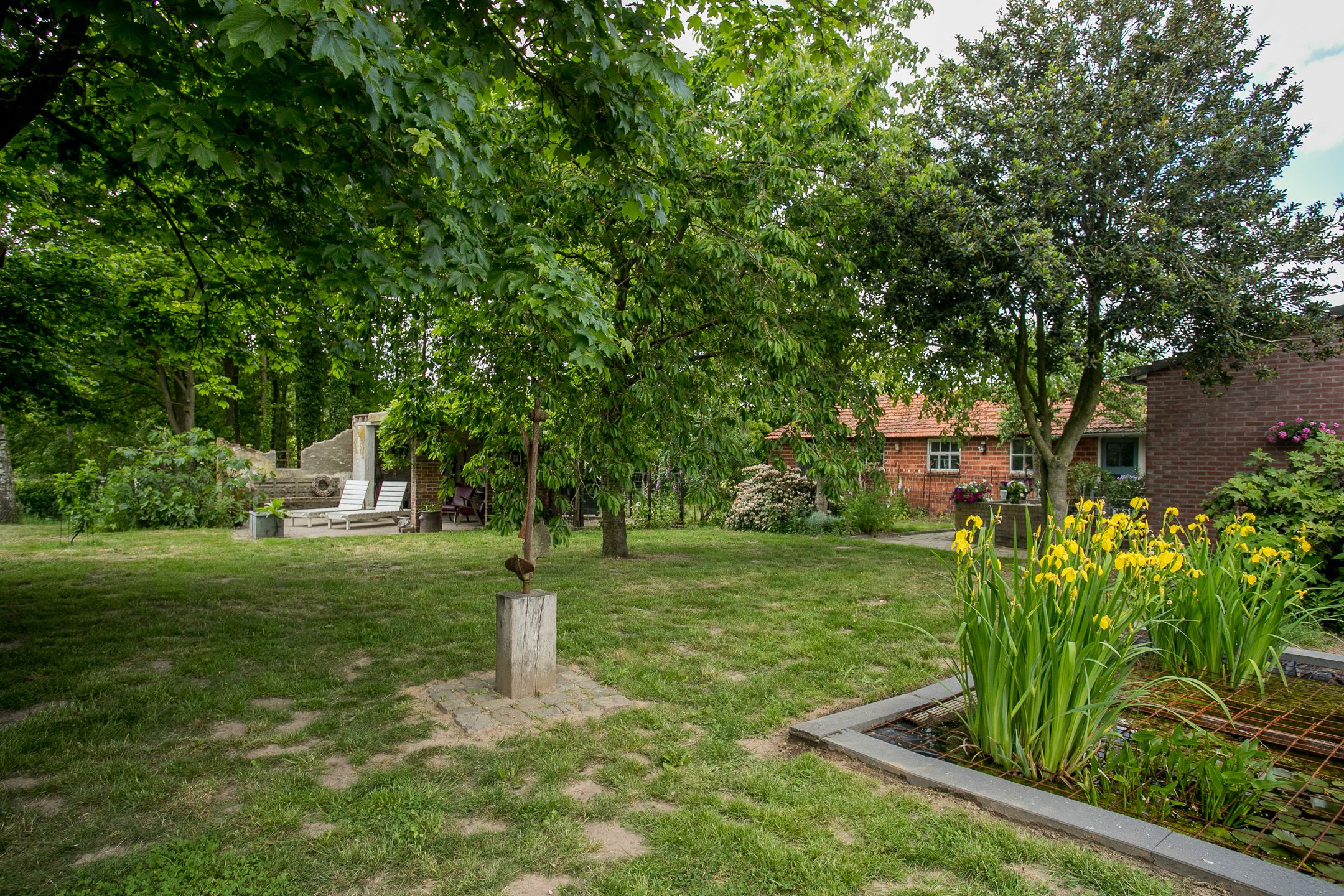 Foto 60 van Schandelo 114