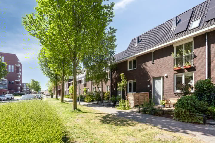 undefined main image