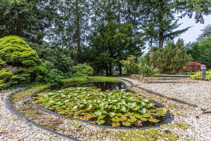 Foto 48 van Berg en Dalseweg 407