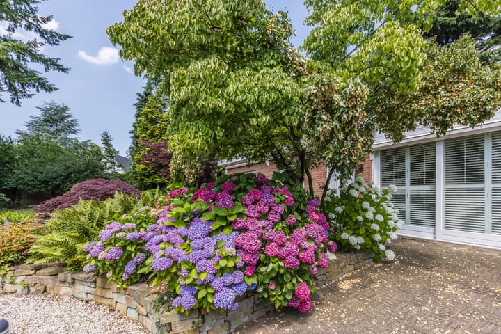 Foto 51 van Berg en Dalseweg 407