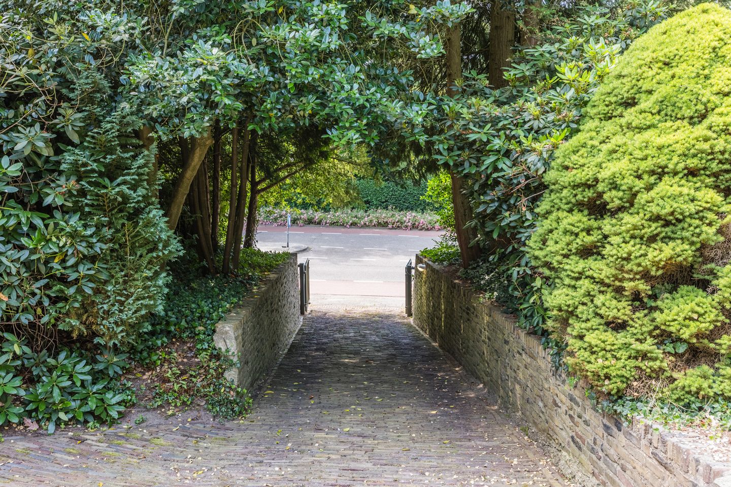 Photo 55 of Berg en Dalseweg 407