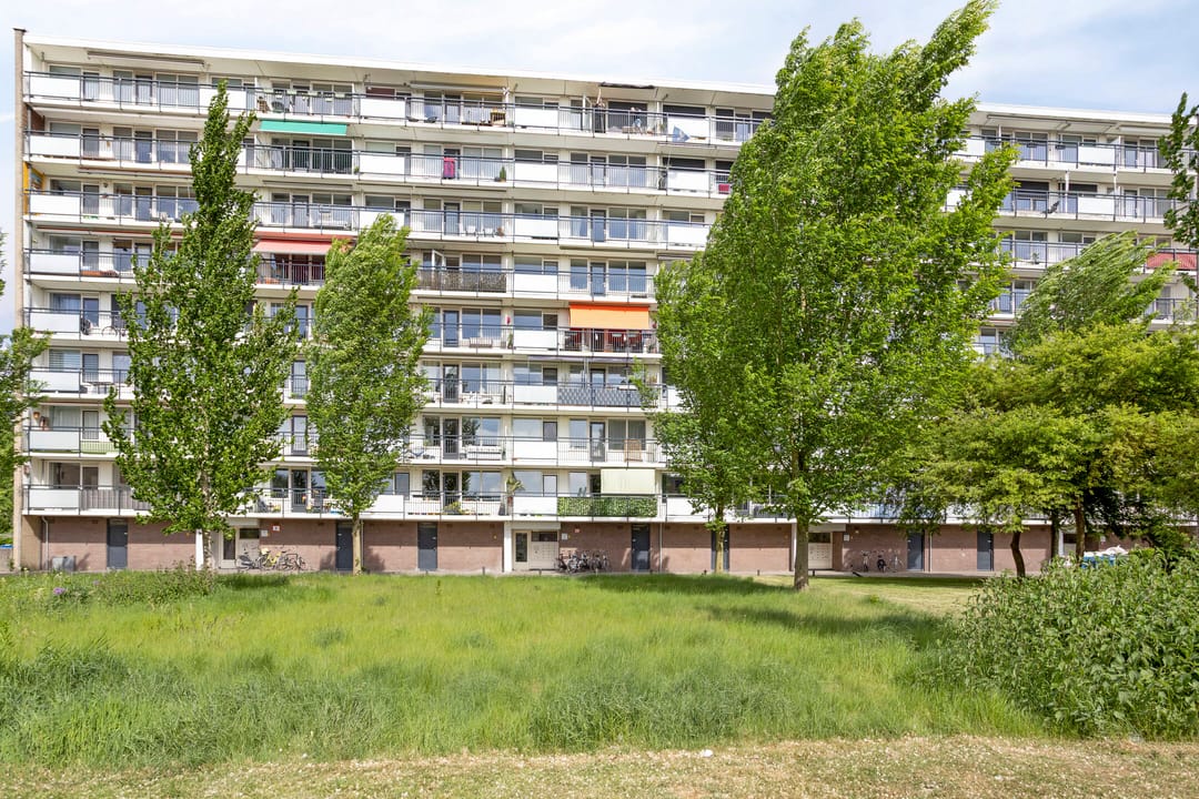 Foto 2 van Trekvogelweg 287