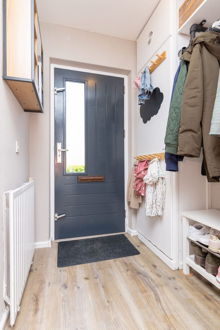 Photo 5 of Paardebloem 12