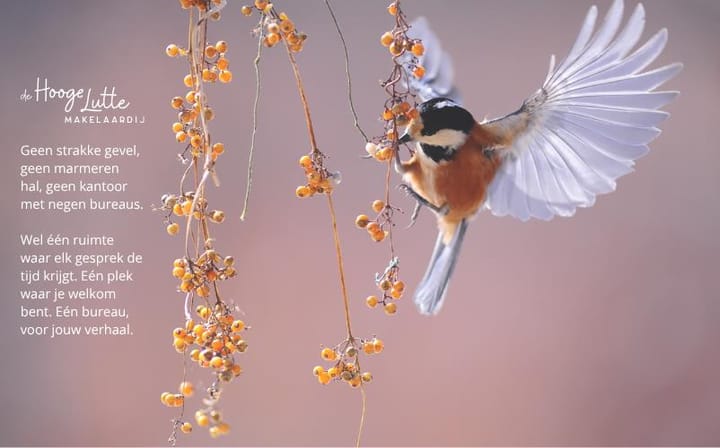 Een promotiefoto voor op kantoor
