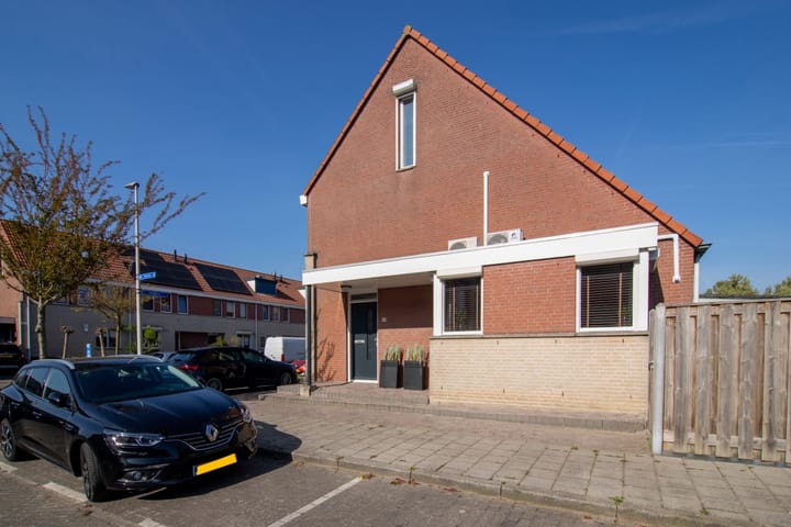 Foto 38 van Meerkoet 35