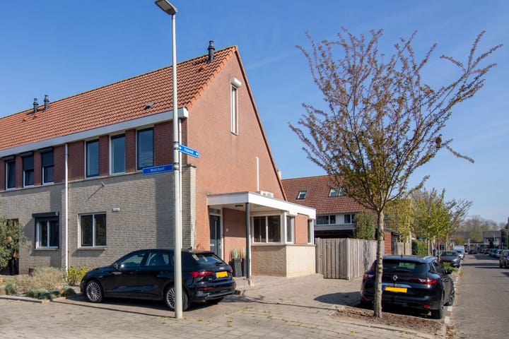 Foto 39 van Meerkoet 35